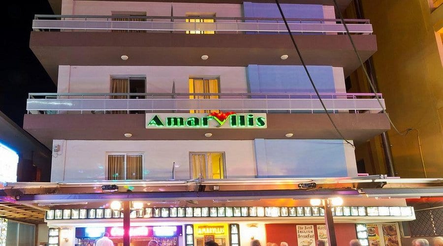 Amaryllis